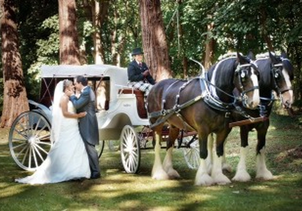 Shire horses at display event
